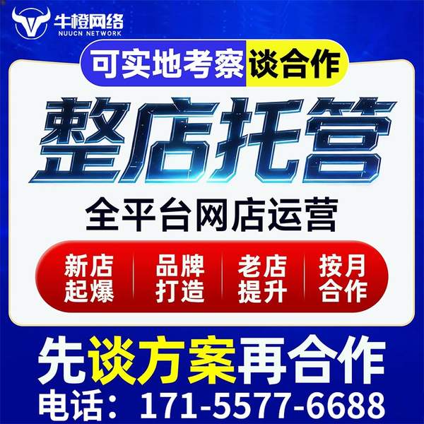 喀什电商代运营