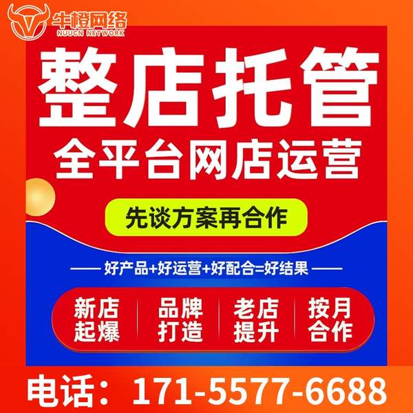 喀什电商代运营